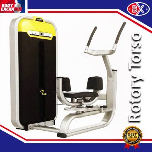 Commercial Gym BMW-011 - Rotory Torso